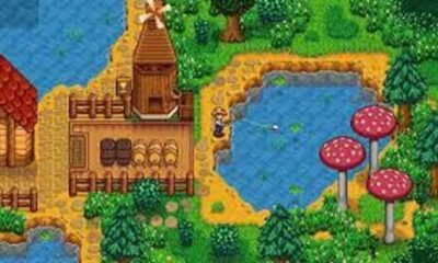 find and catch the Sunfish in the Stardew Valley