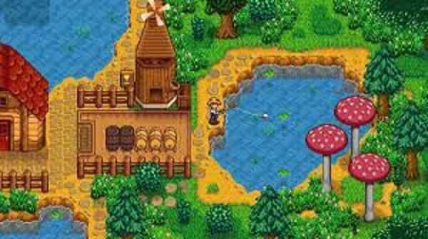 find and catch the Sunfish in the Stardew Valley
