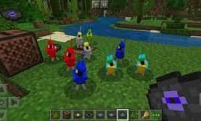 Make Parrots Dance in Minecraft