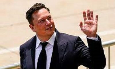 Temporarily suspending Elon Musk's $44 billion Twitter deal! Here's why