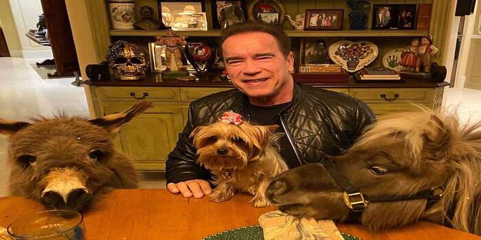 Arnold Schwarzenegger gives his grandchildren and his pet the same oatmeal for breakfast