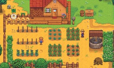 A player in Stardew Valley is reminded to take care of their crops