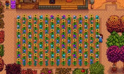 Get the Fairy Rose in Stardew Valley