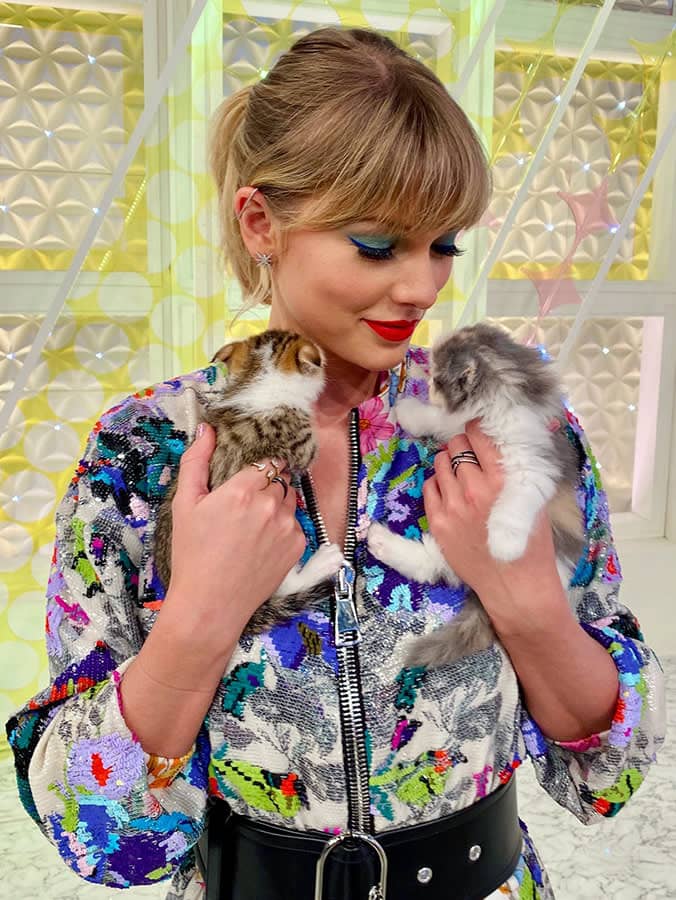 Taylor Swifts cat may be worth more than Travis Kelce